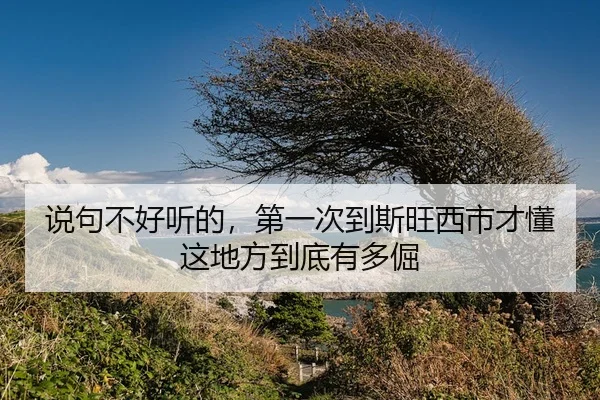 shuo-ju-bu-hao-ting-de-di-yi-ci-dao-si-wang-xi-shi-cai-dong-zhe-di-fang-dao-di-you-duo-jue-2-335.jpg