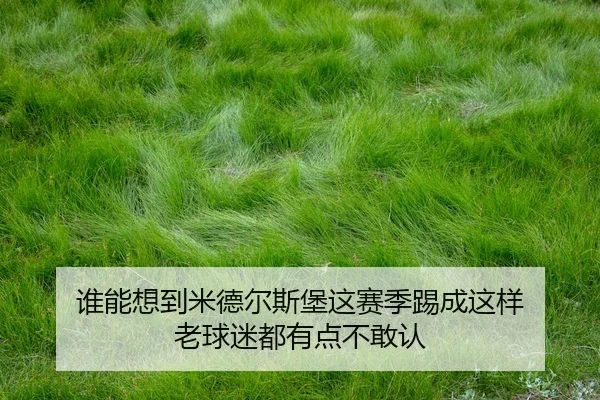 shui-neng-xiang-dao-mi-de-er-si-bao-zhe-sai-ji-ti-cheng-zhe-yang-lao-qiu-mi-dou-you-dian-bu-gan-ren-2-165.jpg