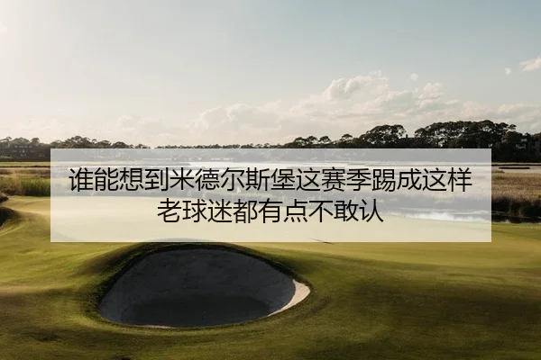 谁能想到米德尔斯堡这赛季踢成这样 老球迷都有点不敢认 | leyu