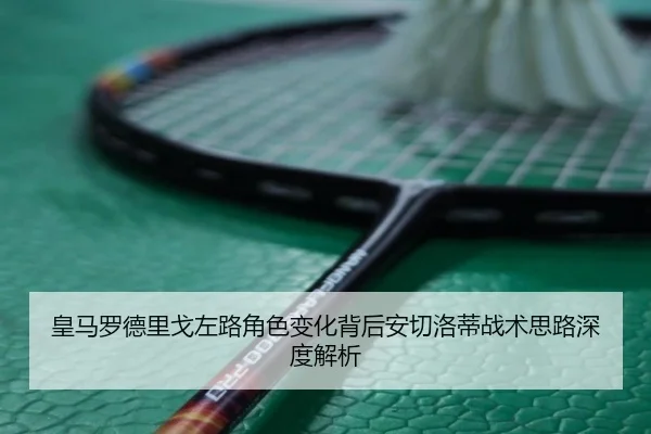 皇马罗德里戈左路角色变化背后安切洛蒂战术思路深度解析 | leyu